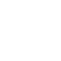 Login Icon